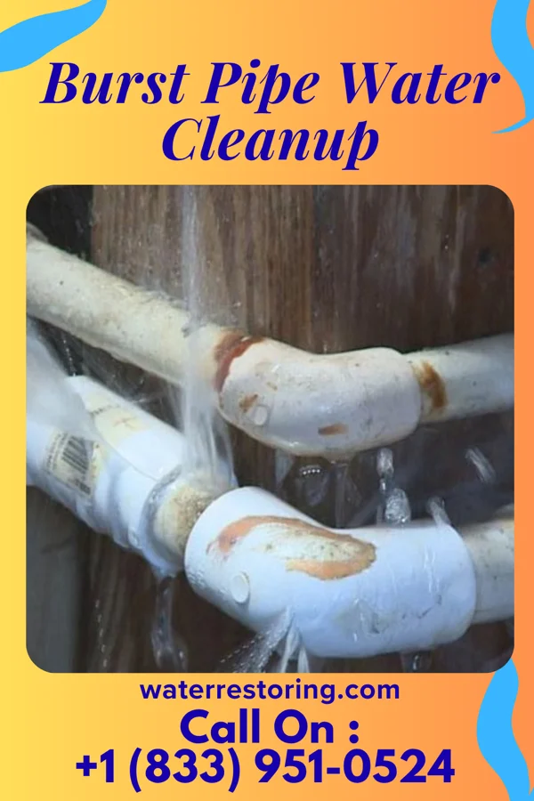 Burst Pipe Water Cleanup in Big Lake, TX